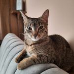Barbara Klimek - @barbara.klimek.393 - Instagram