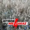 barbaraklimek82 - @barbaraklimek82 - TikTok
