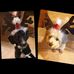 Barbara Klug - Facebook