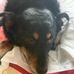 Barbara Kucman - Facebook