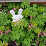 Barbara Knauer - @knauer.barbara - Instagram