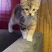 Barbara Palm-Knauff - Facebook