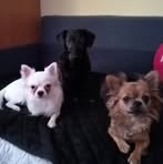 Barbara Knaus - Facebook