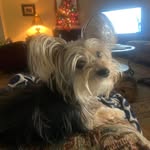 Barbara Thomas Knaus - @btknaus - Instagram