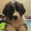 Barbara Keene - @2175126549 - TikTok