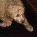 Barbara Knickerbocker - Facebook