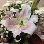 Barbara Knickerbocker - @lovergirl4259 - Instagram