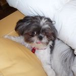 Barbara Knickerbocker - @knickerbocker6782 - Instagram
