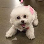 Barbara Knipe - @knipebarb - Instagram
