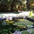 Barbara Knipe - Facebook