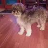 Barbara Knipfer - @barbara.knipfer - TikTok