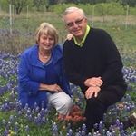 Barbara Arnold Knippa - @barbaraknippa - Instagram