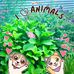 Barbara Jo Knipp Kramer - Facebook