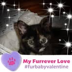 Barbara Knispel - Facebook