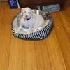Knoll Barbara - @knoll.barbara - TikTok