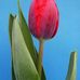 Barbara Knop - Facebook