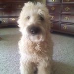 Barbara Knopf - @augieknopf - Instagram