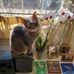 Barbara Knudson - Facebook