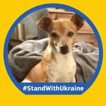 Barbara Knuth - @knuth4015 - Instagram