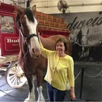 Barbara Knutson - Facebook