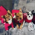 Barbara Kobus - @bakz999 - Instagram
