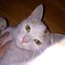 Basia Kocel - Facebook