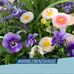 Barbara Koenig - Facebook