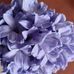 Barbara Koenig - Facebook