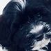 Barbara Koenig - Facebook