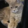Barbara König - @barbarakoenig05 - TikTok