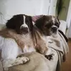 barbarakogut9 - @barbarakogut9 - TikTok