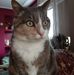 Barbara Koziol - Facebook