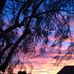 Barbara Krall - Facebook