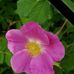 Barbara Krall - Facebook