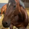 Barbara Kroll - @barbarakroll1 - TikTok