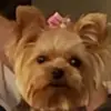 barbaradelacey - @barbaradelacey - TikTok