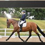 Barbara Lackner - @lackner503 - Instagram
