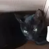 Barbara Lacy 2.0 - @hybridqueen24 - TikTok
