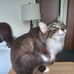 Barb LaMagna - Facebook