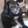 Barbara Lamar - @barbara.lamar4 - TikTok