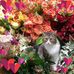 Barbara Lamberti - Facebook