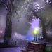 Barbara Lambright - Facebook