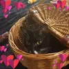 barbaralaminack - @barbaralaminack - TikTok