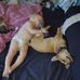 Barbara Lamie - Facebook