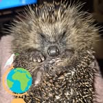 Barbara Lamm - @barbara_lamm - Instagram
