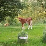 Barbara Lammert - @lammert.barbara - Instagram