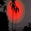 barbarawlamm26338 - @barbarawlamm26338 - TikTok