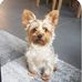 Barbara Lammers - Facebook