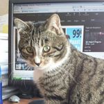 Barbara Lammers - @barbara.lammers.10 - Instagram