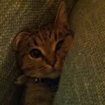 Barbara Lamon - @lamon.barbara - Instagram